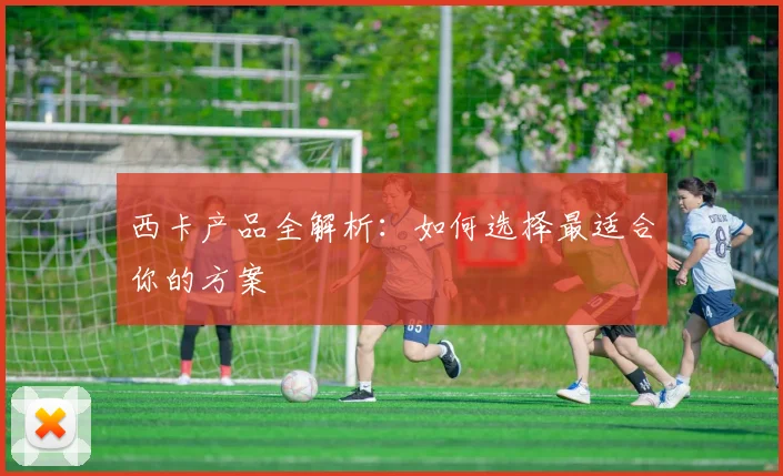 西卡产品全解析：如何选择最适合你的方案