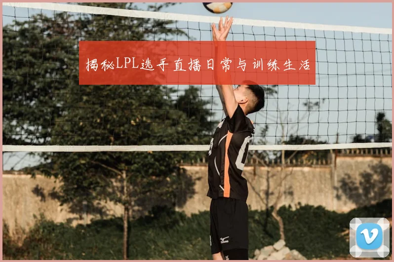 揭秘LPL选手直播日常与训练生活