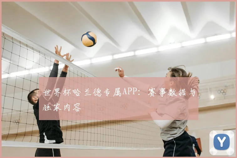 世界杯哈兰德专属APP：赛事数据与独家内容